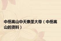 中岳嵩山中天崇圣大帝（中岳嵩山的资料）