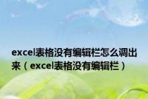 excel表格没有编辑栏怎么调出来（excel表格没有编辑栏）