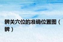 髀关穴位的准确位置图（髀）