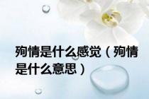 殉情是什么感觉（殉情是什么意思）