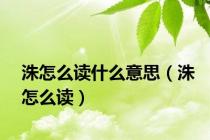 洙怎么读什么意思（洙怎么读）