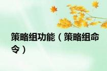 策略组功能（策略组命令）