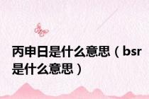 丙申日是什么意思（bsr是什么意思）
