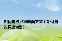 如何更改只狼界面文字（如何更改只读u盘）