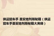 侠盗猎车手 圣安地列斯秘籍（侠盗猎车手圣安地列斯秘籍大黄蜂）