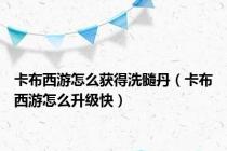 卡布西游怎么获得洗髓丹（卡布西游怎么升级快）