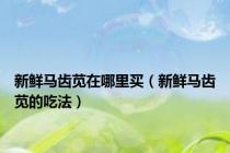 新鲜马齿苋在哪里买（新鲜马齿苋的吃法）