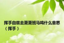 挥手自兹去萧萧班马鸣什么意思（挥手）