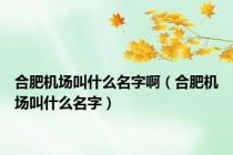合肥机场叫什么名字啊（合肥机场叫什么名字）