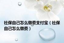 社保自己怎么缴费支付宝（社保自己怎么缴费）