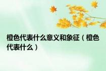 橙色代表什么意义和象征（橙色代表什么）