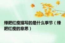 绿肥红瘦描写的是什么季节（绿肥红瘦的意思）