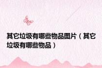 其它垃圾有哪些物品图片（其它垃圾有哪些物品）