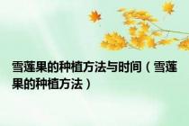 雪莲果的种植方法与时间（雪莲果的种植方法）
