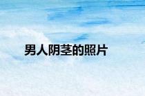 男人阴茎的照片