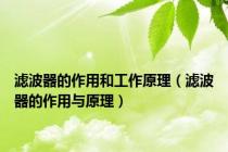 滤波器的作用和工作原理（滤波器的作用与原理）
