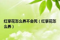 红掌花怎么养不会死（红掌花怎么养）