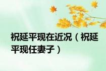 祝延平现在近况（祝延平现任妻子）