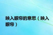 映入眼帘的意思（映入眼帘）
