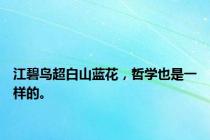 江碧鸟超白山蓝花，哲学也是一样的。
