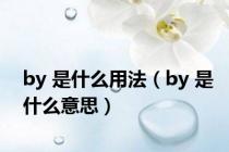 by 是什么用法（by 是什么意思）