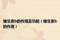 维生素b的作用及功能（维生素b的作用）
