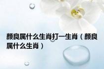颜良属什么生肖打一生肖（颜良属什么生肖）