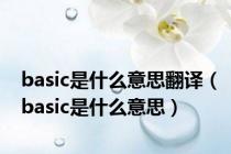 basic是什么意思翻译（basic是什么意思）