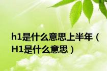 h1是什么意思上半年（H1是什么意思）