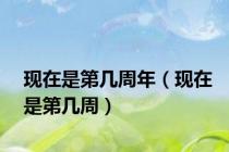 现在是第几周年（现在是第几周）