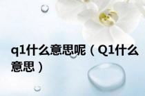 q1什么意思呢（Q1什么意思）