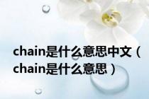 chain是什么意思中文（chain是什么意思）