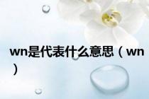 wn是代表什么意思（wn）