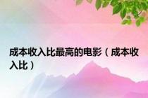 成本收入比最高的电影（成本收入比）