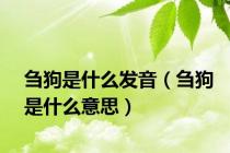 刍狗是什么发音（刍狗是什么意思）