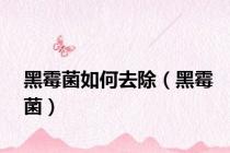 黑霉菌如何去除（黑霉菌）