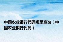 中国农业银行代码哪里查询（中国农业银行代码）
