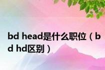 bd head是什么职位（bd hd区别）