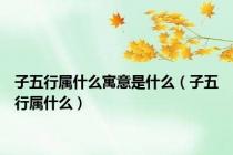 子五行属什么寓意是什么（子五行属什么）