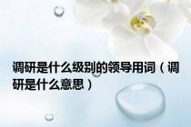 调研是什么级别的领导用词（调研是什么意思）
