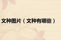 文种图片（文种有哪些）