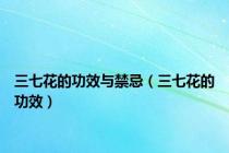 三七花的功效与禁忌（三七花的功效）