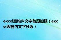 excel表格内文字首段加粗（excel表格内文字分段）
