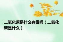 二氧化碳是什么有毒吗（二氧化碳是什么）