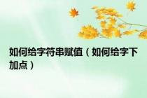 如何给字符串赋值（如何给字下加点）