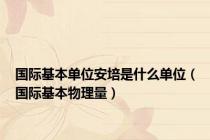 国际基本单位安培是什么单位（国际基本物理量）
