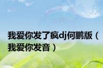 我爱你发了疯dj何鹏版（我爱你发音）