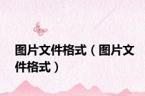 图片文件格式（图片文件格式）