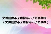 文件删除不了也粉碎不了怎么办呀（文件删除不了也粉碎不了怎么办）