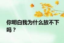 你明白我为什么放不下吗？